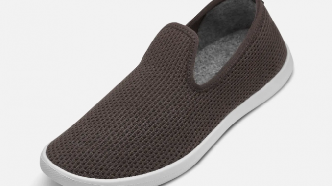 Allbirds Shoes the Most Comfortable Sustainably Resourced Shoe