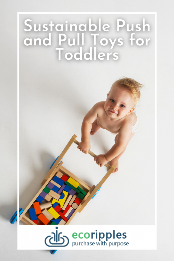 Sustainable Push and Pull Toys for Toddlers