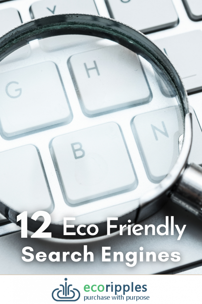 The 12 best ecofriendly search engines